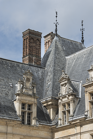 Lucarnes abimées du château