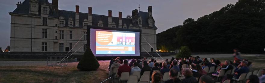 cinéma dans le domaine