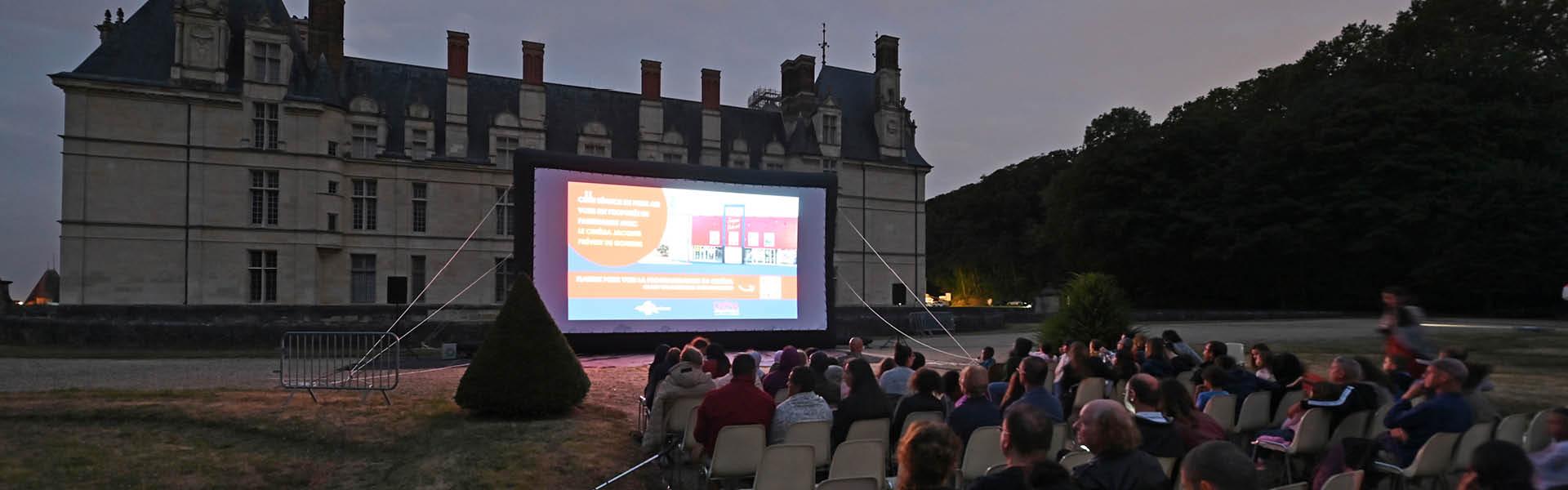 cinéma dans le domaine