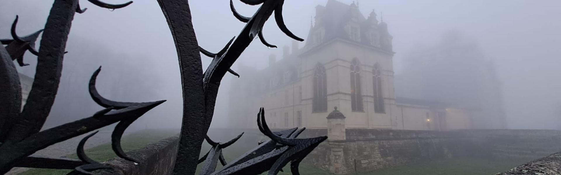 le château sous le brouillard