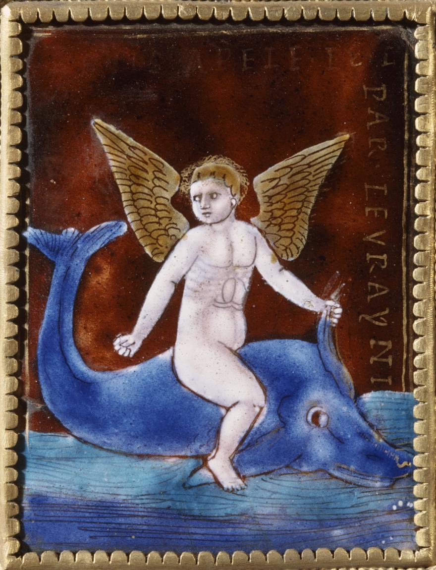 Plaque enfant dauphin