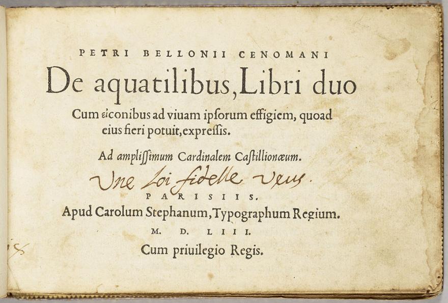 De Aquatilibus libri duo cum iconibus ad vivum ipsorum effigiem quas ejus fieri potuit expressis