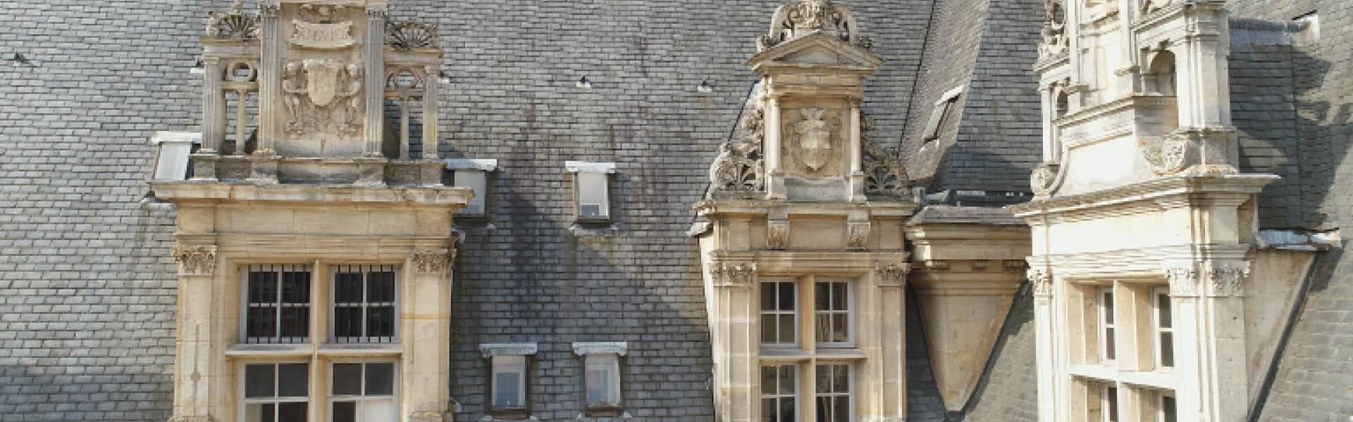 lucarnes du château